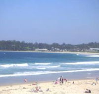 Mollymook Surf Beach - Accommodation Mermaid Beach