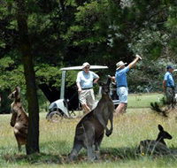 Glen Innes Golf Club - Accommodation Mermaid Beach