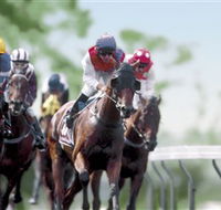 Colac Turf Club - Accommodation Mermaid Beach