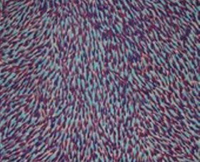 The Gate Gallery - Wollombi - Accommodation Mermaid Beach 0