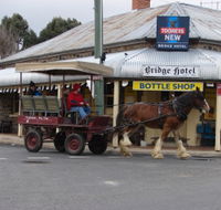 Bathurst Farm Experience - Accommodation Mermaid Beach