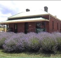 Lavender House in Railway Park - Accommodation Mermaid Beach