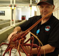 Lobster Shack - Accommodation Mermaid Beach