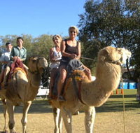 Calamunnda Camel Farm - Accommodation Mermaid Beach