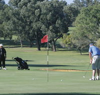 Spalding Park - Accommodation Mermaid Beach