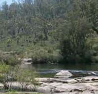 Wellington Discovery Forest - Accommodation Mermaid Beach