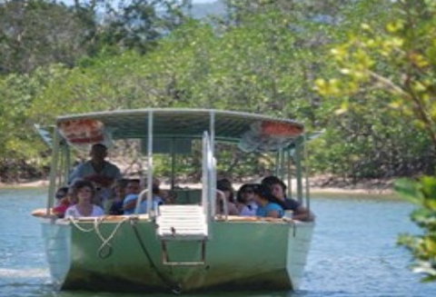 BTS Tours Pty Ltd - Accommodation Mermaid Beach 1