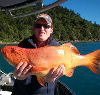 Gone Fishing by Coral Sea Fishing Charters Airlie Beach - Accommodation Mermaid Beach