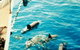 A Whitsunday Luxury Sailing Holiday - thumb 5