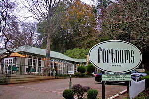 Fortnums Restaurant - Accommodation Mermaid Beach 0