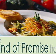 Land of Promise Hotel - Accommodation Mermaid Beach