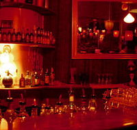 The Night Cat - Accommodation Mermaid Beach