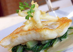 Glenelg South SA Accommodation Mermaid Beach