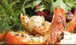 Fishermans Wharf Tavern - Accommodation Mermaid Beach 1