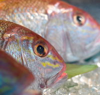 Coro Hotel - Lure Seafood Restaurant - Accommodation Mermaid Beach