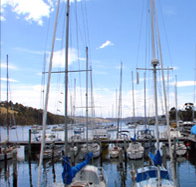 Oyster Cove Inn - Accommodation Mermaid Beach