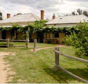 The Blue Duck Inn Hotel - Accommodation Mermaid Beach
