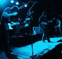 Fly By Night Musicians Club - Accommodation Mermaid Beach