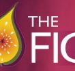 Pickled Fig - Accommodation Mermaid Beach