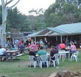 Bush Shack Brewery - Accommodation Mermaid Beach
