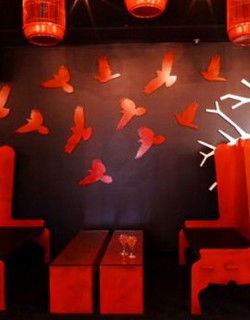 Soho Bar And Lounge - Accommodation Mermaid Beach 0
