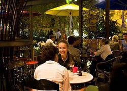 Treehouse Hotel - Accommodation Mermaid Beach 0