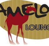 Camelot Lounge - Accommodation Mermaid Beach