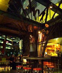 Treehouse Hotel - Accommodation Mermaid Beach 2