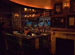 Iguana Bar - Accommodation Mermaid Beach 3