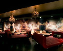 Dome Bar - Accommodation Mermaid Beach 3