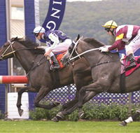Gosford Race Club - Accommodation Mermaid Beach