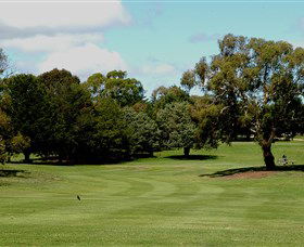Cooma Golf Club - Accommodation Mermaid Beach 1