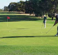 Waikerie Golf Club - Accommodation Mermaid Beach