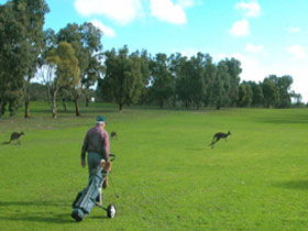 Coffin Bay Golf Club - Accommodation Mermaid Beach 0