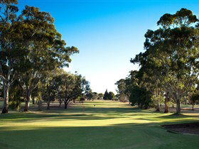 Loxton Golf Club - Accommodation Mermaid Beach 0