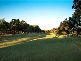 Loxton Golf Club - Accommodation Mermaid Beach 2
