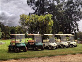 Loxton Golf Club - Accommodation Mermaid Beach 1