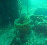 Wallaroo Scuba Club - Accommodation Mermaid Beach