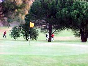 Meningie Lake Albert Golf Club - Accommodation Mermaid Beach 0