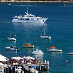 Manly Skiff Sailing Club - Accommodation Mermaid Beach 0