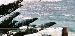 Bondi Social - Accommodation Mermaid Beach 0