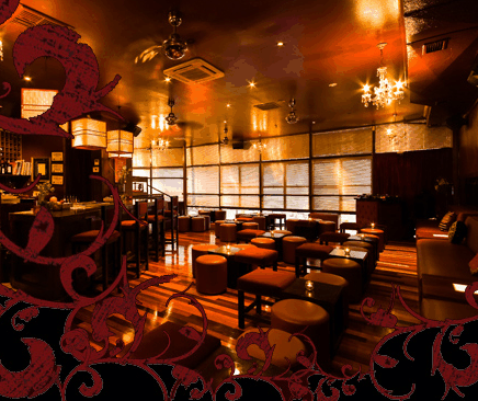 Hippo Lounge Bar - Accommodation Mermaid Beach