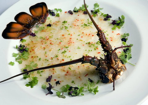 Blue Angel - Accommodation Mermaid Beach 2