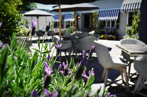 Royal Hotel Bowral - Accommodation Mermaid Beach 4