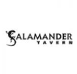Salamander Tavern - Accommodation Mermaid Beach