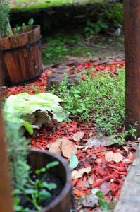 Herveys Range Heritage Tea Rooms - Accommodation Mermaid Beach 1