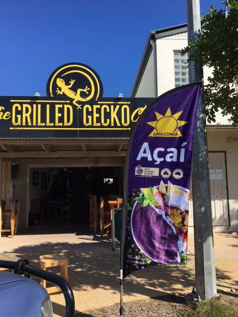 The Grilled Gecko Cafe - Accommodation Mermaid Beach 0