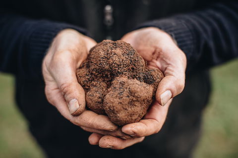 A Taste Of Truffles - Accommodation Mermaid Beach 0