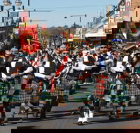 Australian Celtic Festival - Accommodation Mermaid Beach