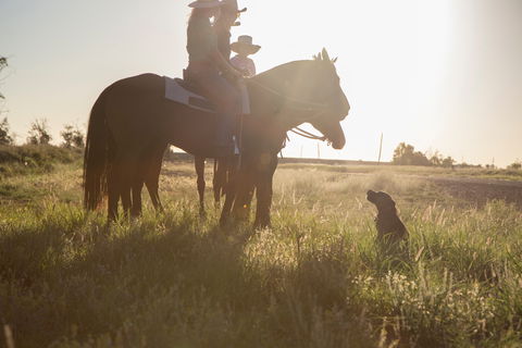 Balonne Cutting Horse Futurity - Accommodation Mermaid Beach 0
